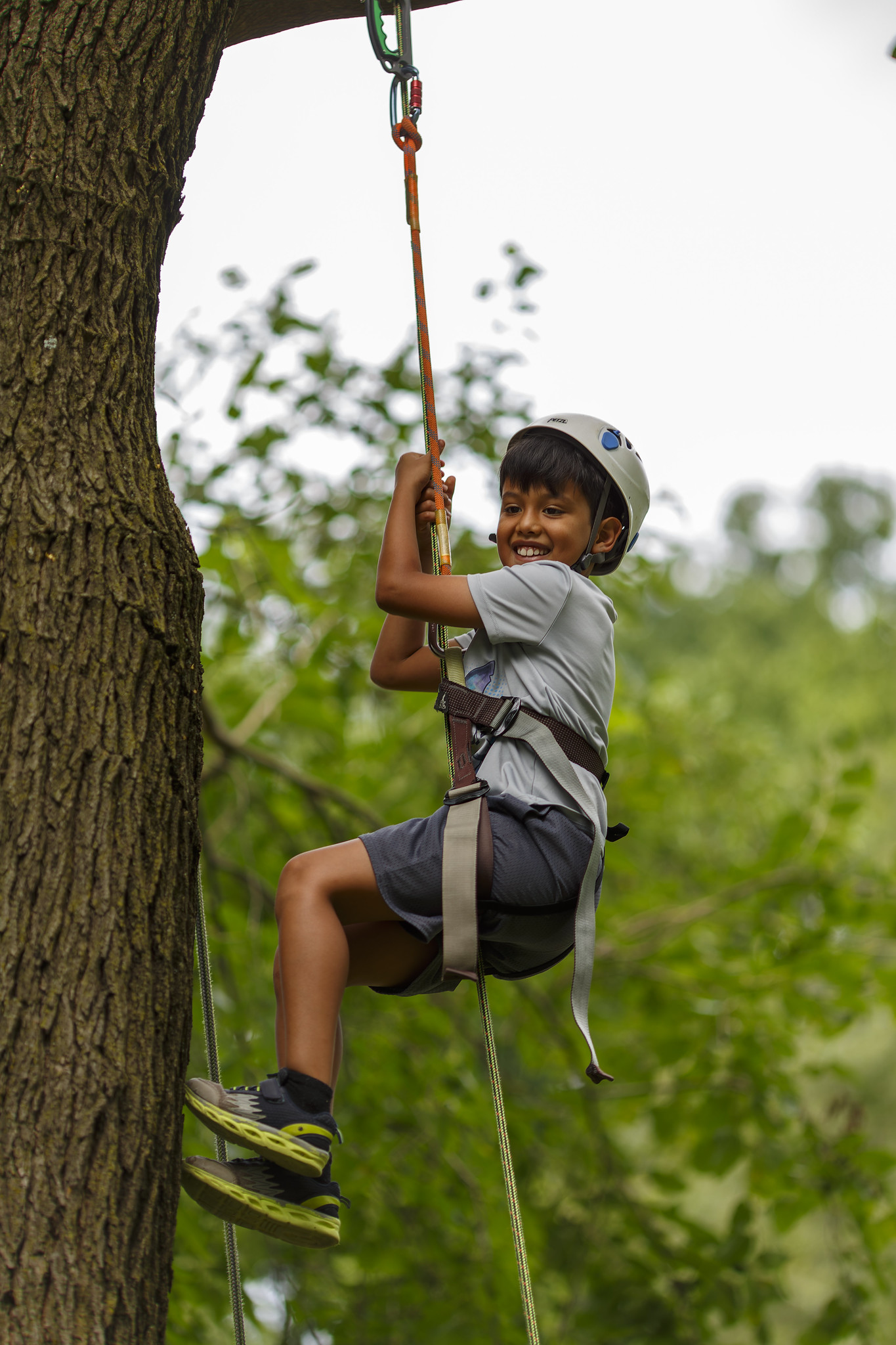 A child holds onto a rope as they descend from a tree