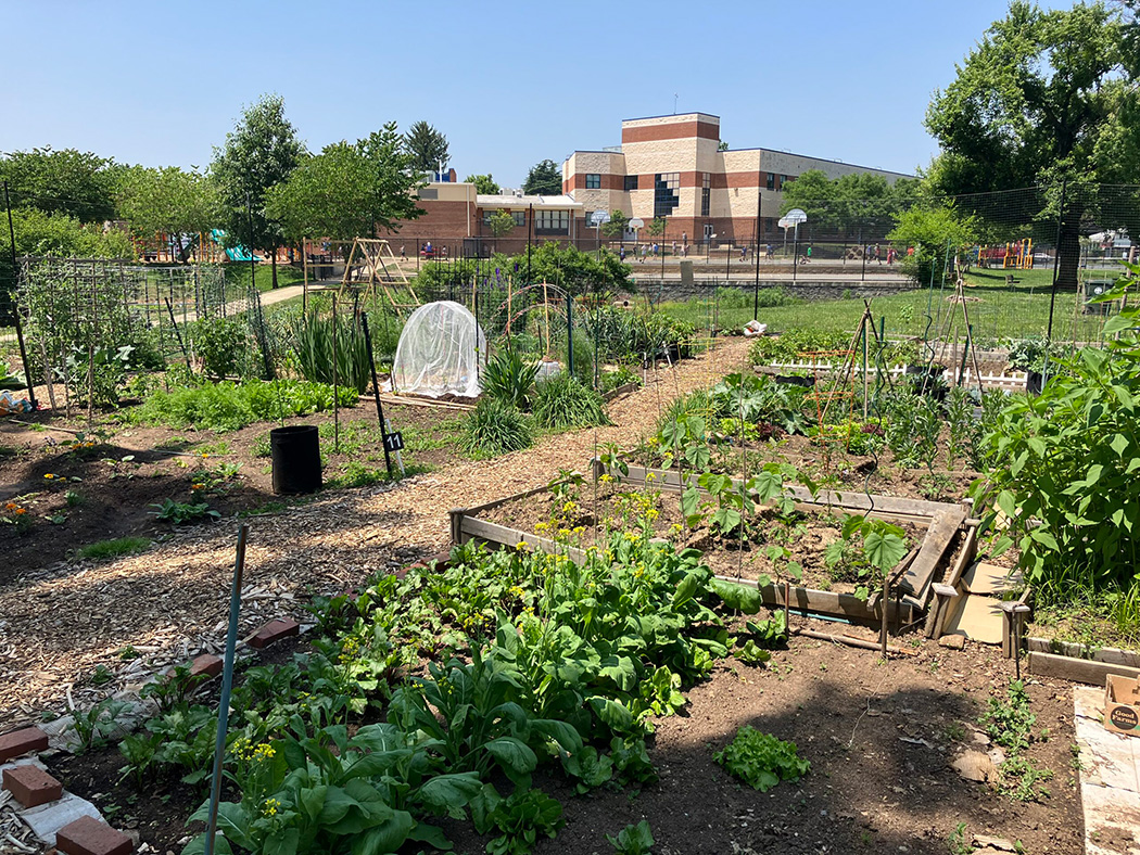Garden plots at Bradley Park Community Garden