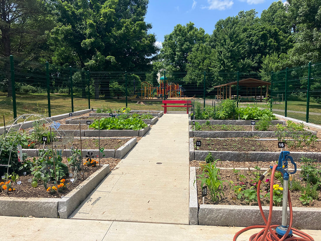 View of Edgewood Community Garden