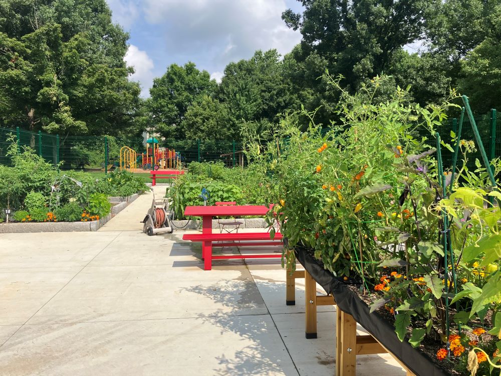 Edgewood Community Garden with picnic table and summer crops growing