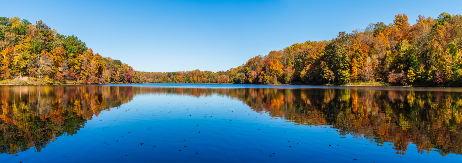 fall foliage lake frank
