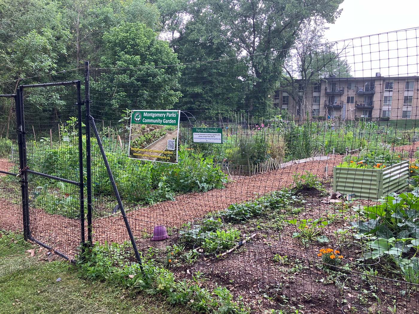 Outside view of Gaynor Road Community Garden