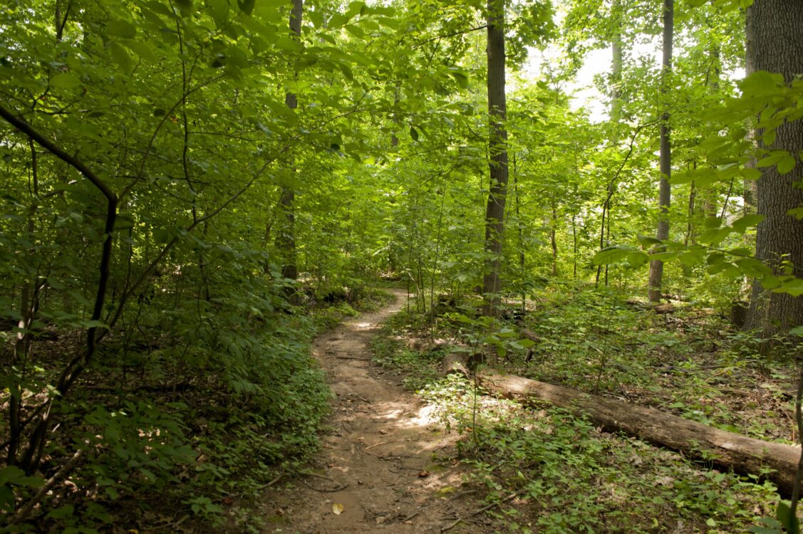 Trail at Wyngate Woods Neighborhood Park