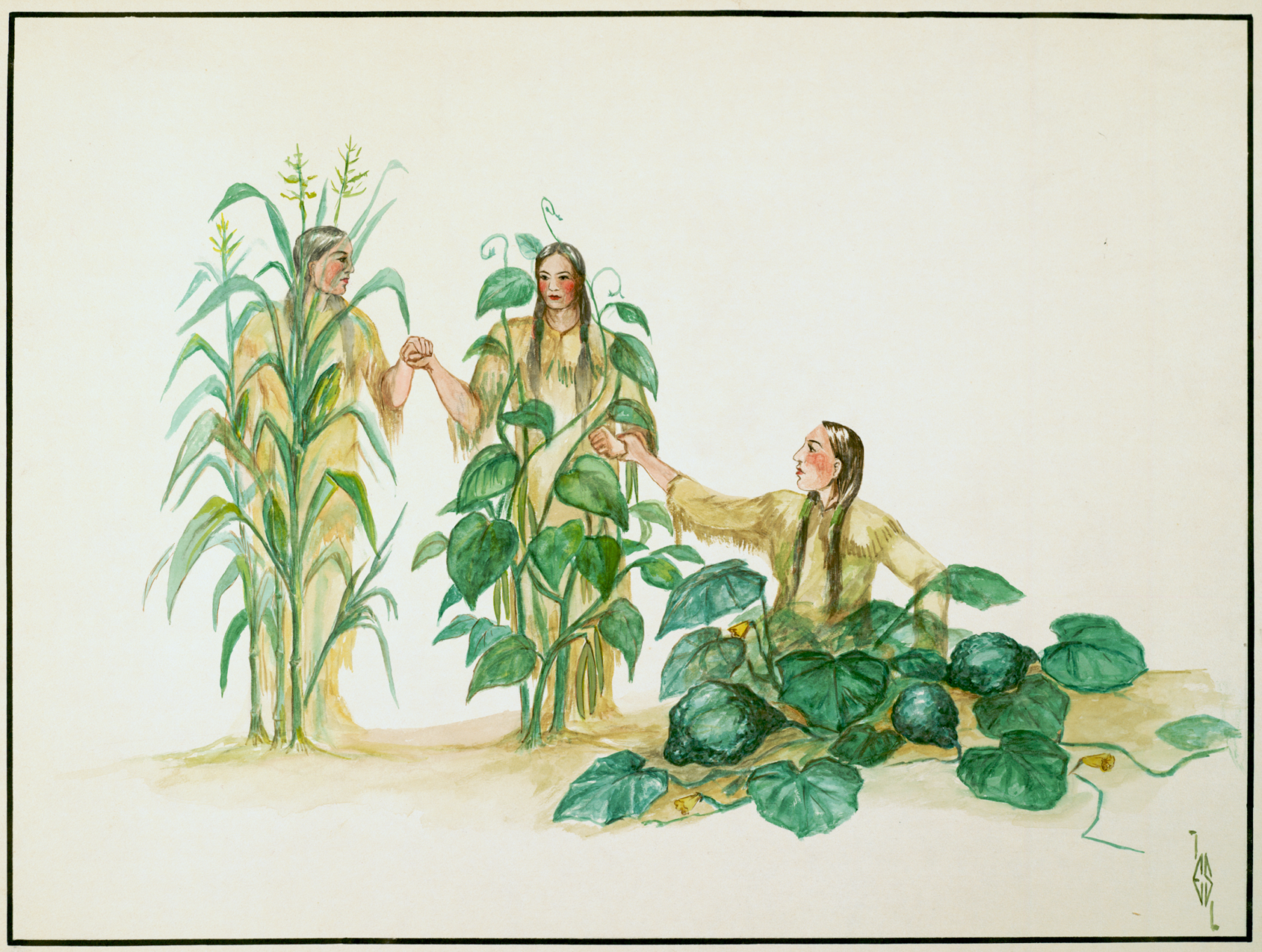 A watercolor illustration by Ernest Smith depicting the Indigenous farming technique known as the Three Sisters. There are women standing behind a stalk of corn and a bean plant, and another woman sitting behind a squash plant.